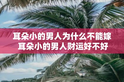 耳朵小的男人为什么不能嫁 耳朵小的男人财运好不好