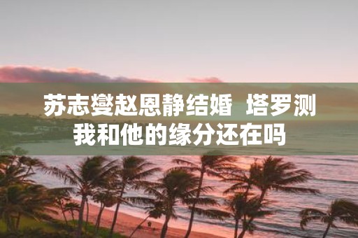 苏志燮赵恩静结婚 塔罗测我和他的缘分还在吗