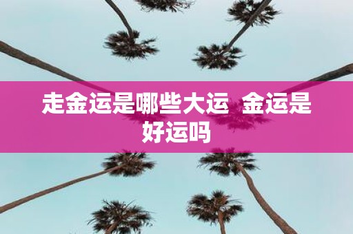走金运是哪些大运 金运是好运吗
