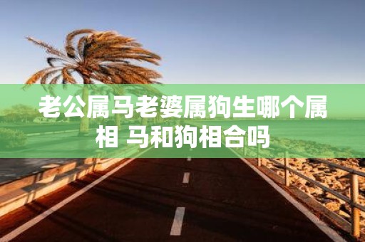 老公属马老婆属狗生哪个属相 马和狗相合吗