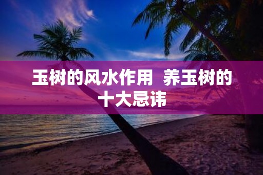 玉树的风水作用 养玉树的十大忌讳
