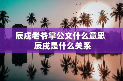 辰戌老爷掌公文什么意思 辰戌是什么关系