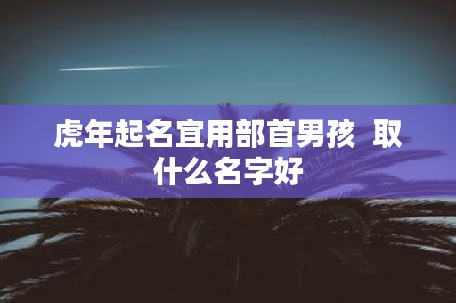 虎年起名宜用部首男孩 取什么名字好