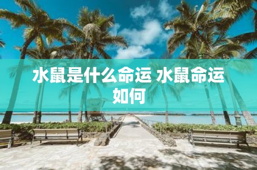 水鼠是什么命运 水鼠命运如何