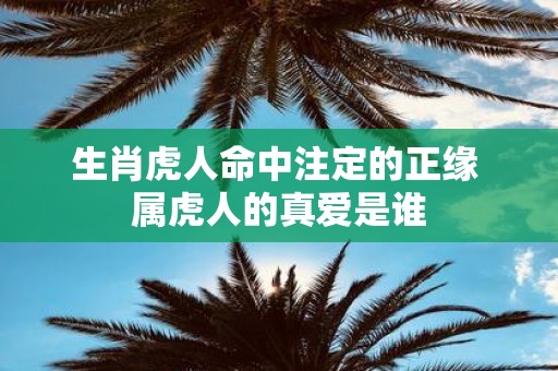 生肖虎人命中注定的正缘 属虎人的真爱是谁