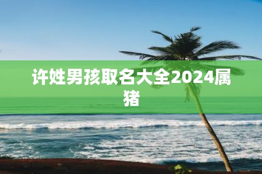 许姓男孩取名大全2025属猪