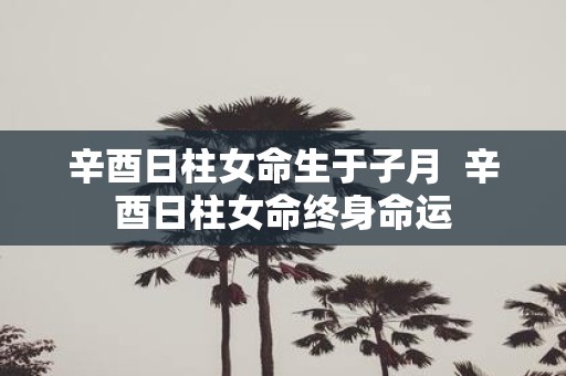 辛酉日柱女命生于子月 辛酉日柱女命终身命运