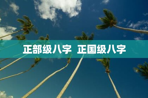 正部级八字 正国级八字
