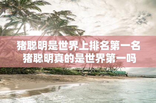 猪聪明是世界上排名第一名 猪聪明真的是世界第一吗