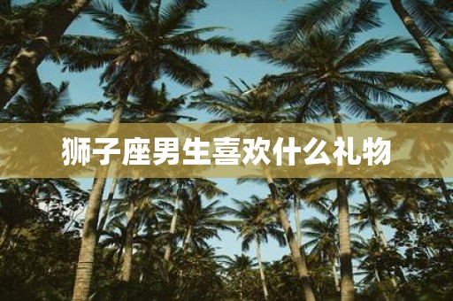 狮子座男生喜欢什么礼物