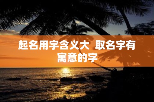 起名用字含义大 取名字有寓意的字