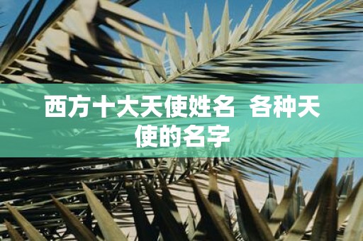 西方十大天使姓名 各种天使的名字