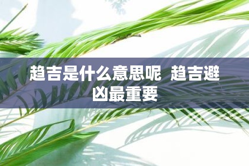 趋吉是什么意思呢 趋吉避凶最重要