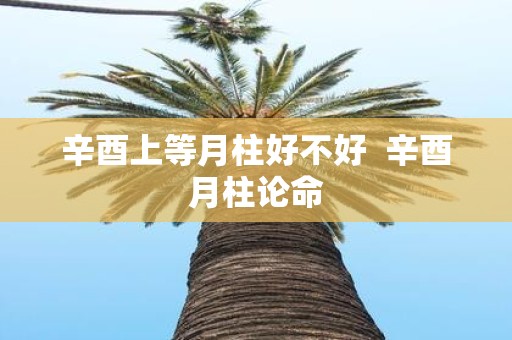 辛酉上等月柱好不好 辛酉月柱论命