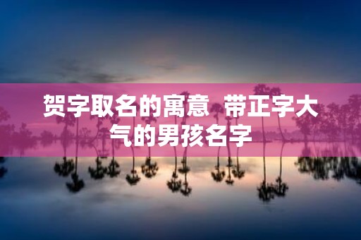 贺字取名的寓意 带正字大气的男孩名字