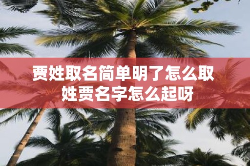贾姓取名简单明了怎么取 姓贾名字怎么起呀