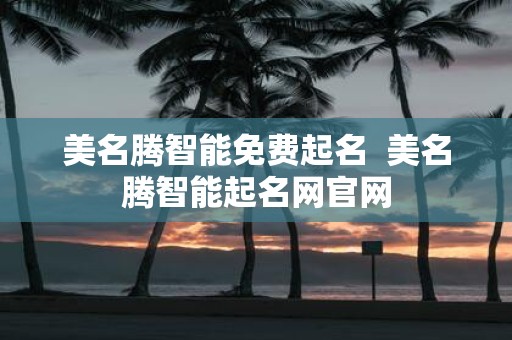 美名腾智能免费起名 美名腾智能起名网官网