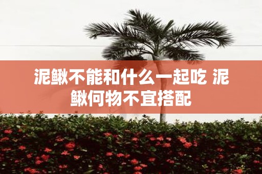 泥鳅不能和什么一起吃 泥鳅何物不宜搭配