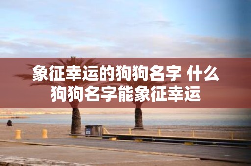 象征幸运的狗狗名字 什么狗狗名字能象征幸运