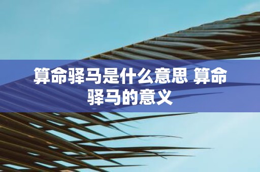 算命驿马是什么意思 算命驿马的意义