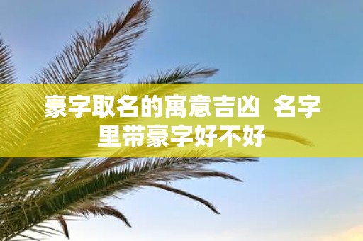 豪字取名的寓意吉凶 名字里带豪字好不好