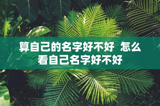 算自己的名字好不好 怎么看自己名字好不好