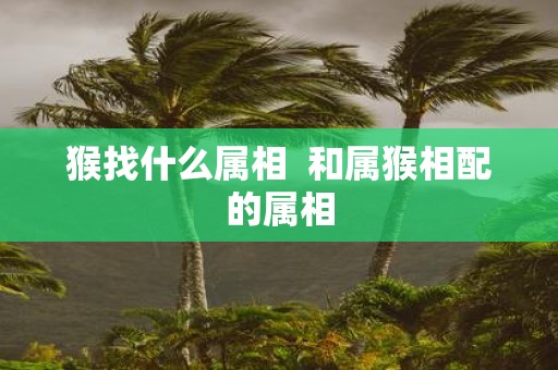 猴找什么属相 和属猴相配的属相
