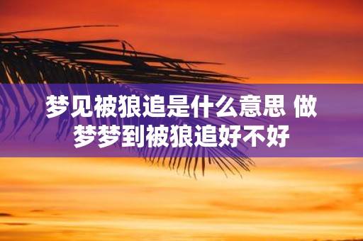 梦见被狼追是什么意思 做梦梦到被狼追好不好