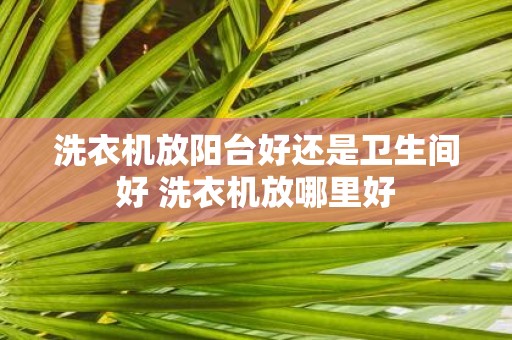 洗衣机放阳台好还是卫生间好 洗衣机放哪里好