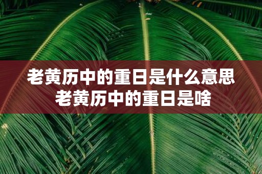 老黄历中的重日是什么意思 老黄历中的重日是啥