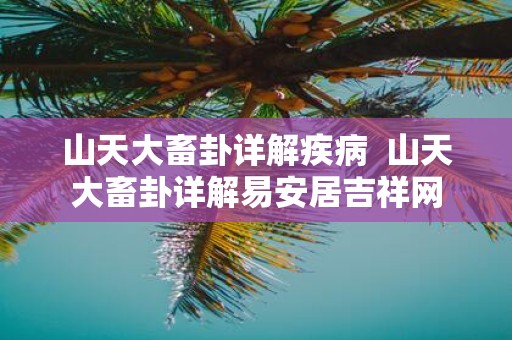 山天大畜卦详解疾病 山天大畜卦详解易安居吉祥网