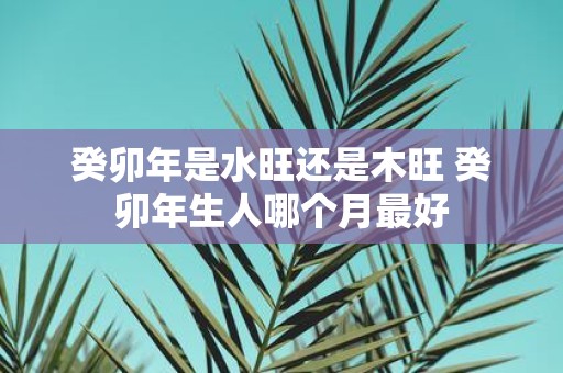 癸卯年是水旺还是木旺 癸卯年生人哪个月最好