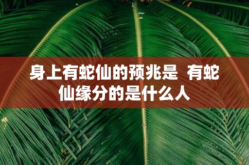 身上有蛇仙的预兆是 有蛇仙缘分的是什么人