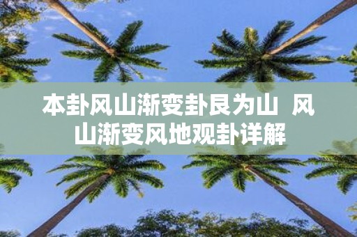 本卦风山渐变卦艮为山 风山渐变风地观卦详解