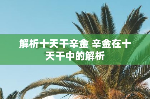 解析十天干辛金 辛金在十天干中的解析