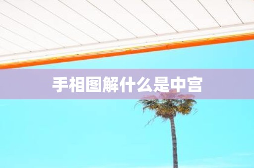 手相图解什么是中宫