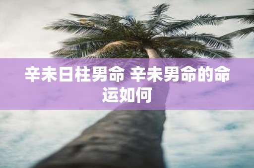 辛未日柱男命 辛未男命的命运如何