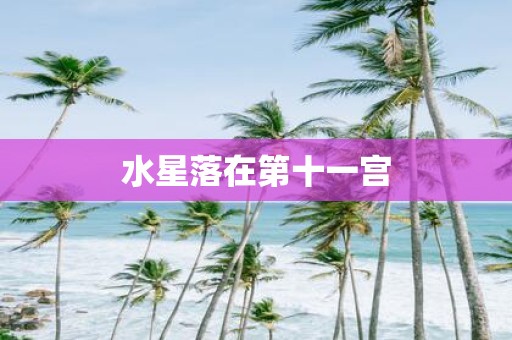水星落在第十一宫