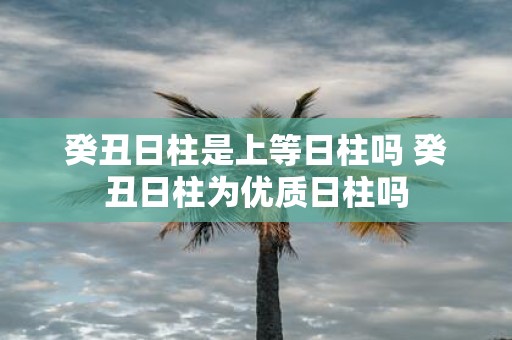 癸丑日柱是上等日柱吗 癸丑日柱为优质日柱吗