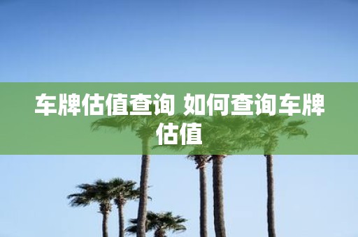 车牌估值查询 如何查询车牌估值