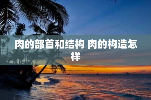肉的部首和结构 肉的构造怎样