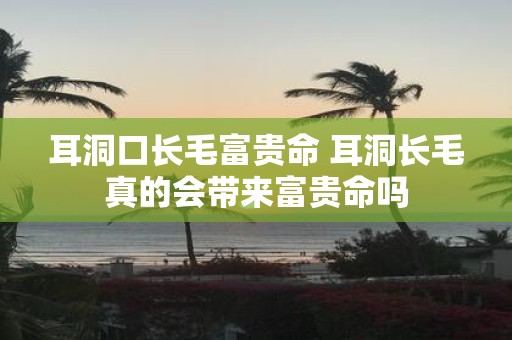 耳洞口长毛富贵命 耳洞长毛真的会带来富贵命吗