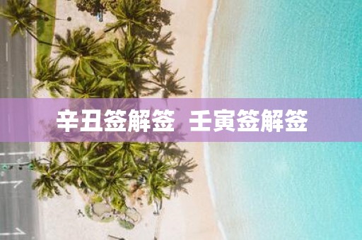 辛丑签解签 壬寅签解签