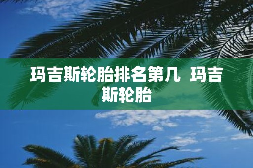 玛吉斯轮胎排名第几 玛吉斯轮胎