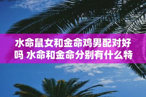水命鼠女和金命鸡男配对好吗 水命和金命分别有什么特征