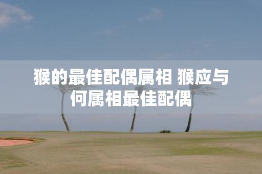 猴的最佳配偶属相 猴应与何属相最佳配偶
