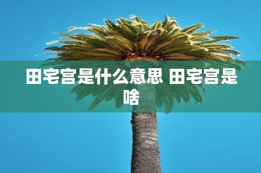 田宅宫是什么意思 田宅宫是啥