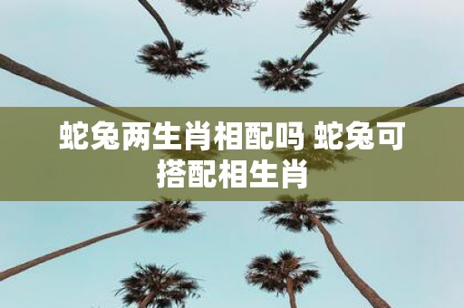 蛇兔两生肖相配吗 蛇兔可搭配相生肖