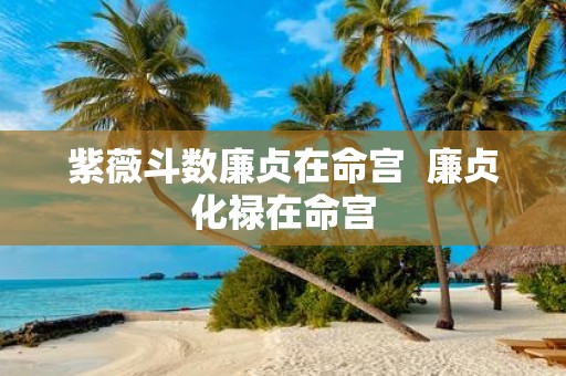 紫薇斗数廉贞在命宫 廉贞化禄在命宫