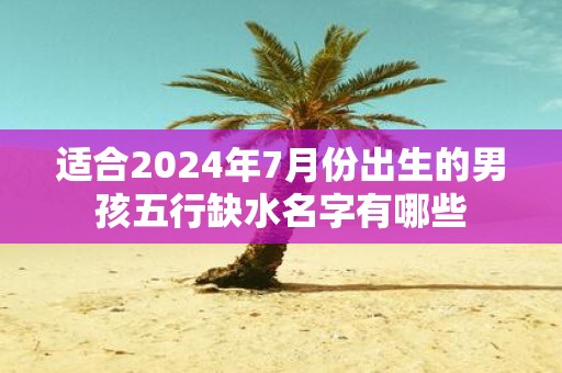 适合2025年7月份出生的男孩五行缺水名字有哪些